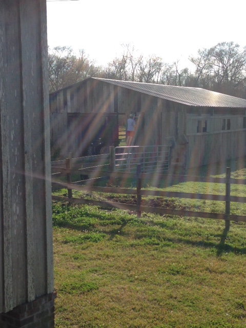 Andrew Piddling on the Barn