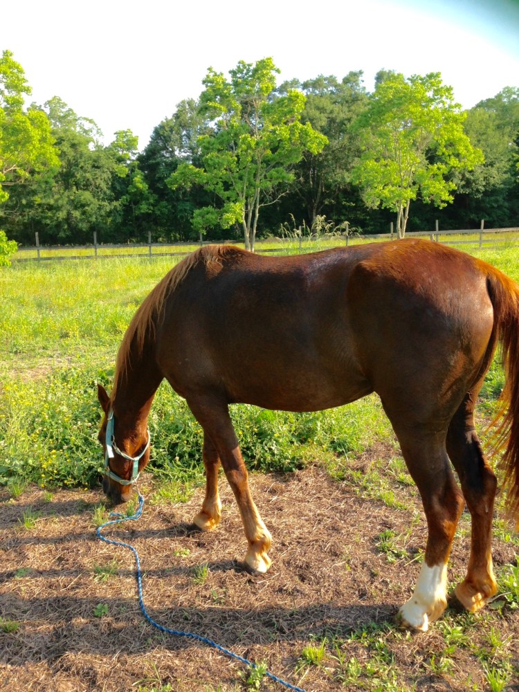 Sparkle Update 1 (May 2016)