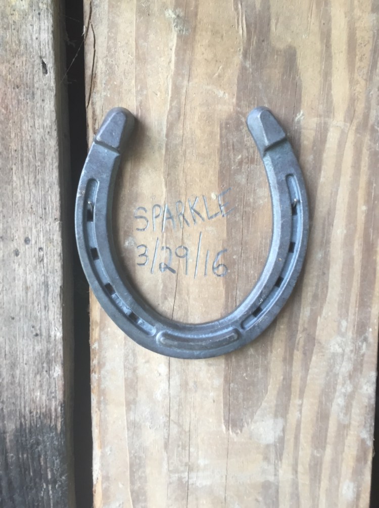 Sparkle's Rescue Date