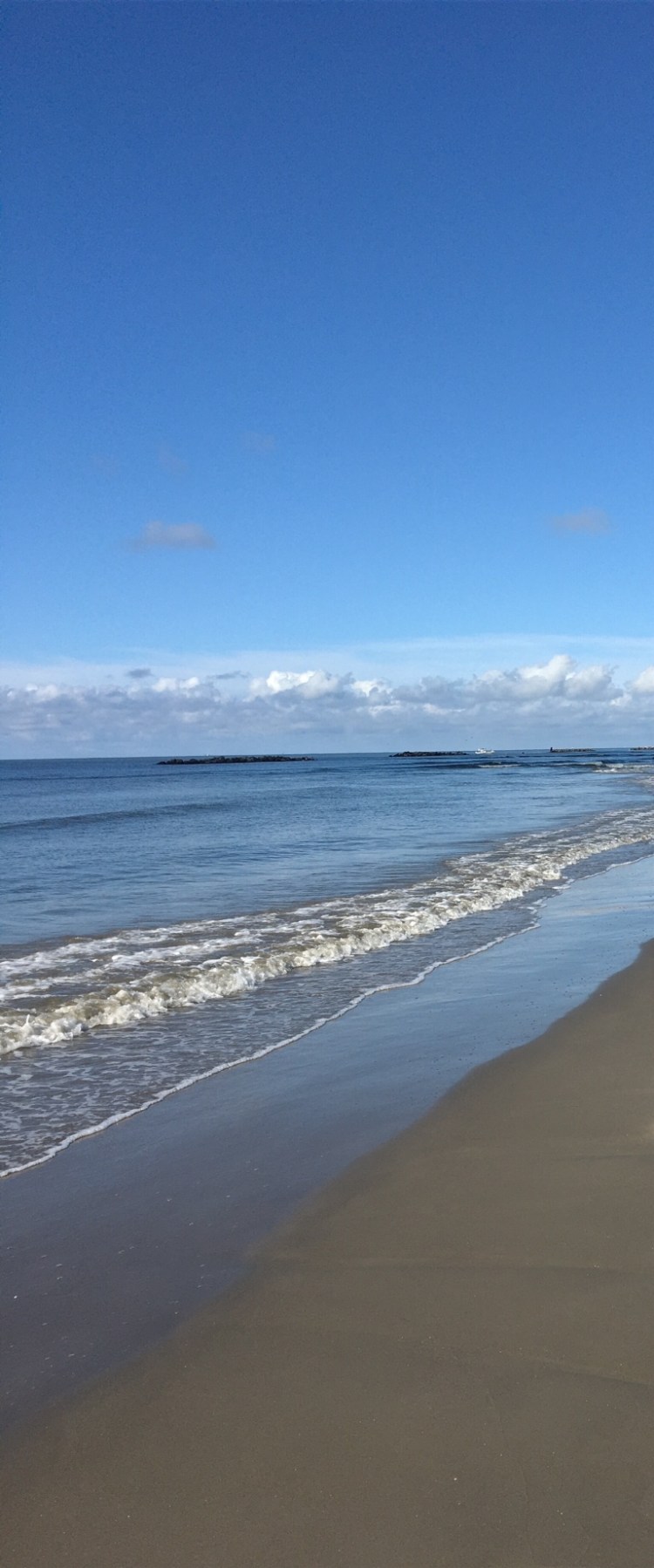 Morning Walks 2 - Grand Isle 2016