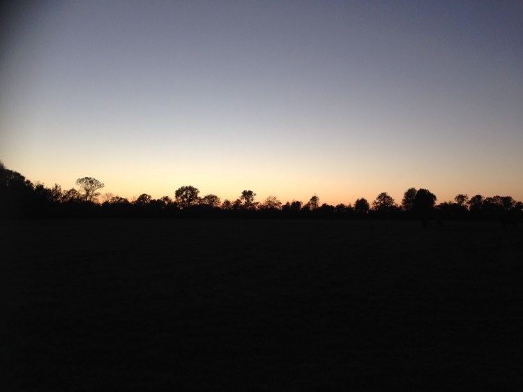farm-sunset