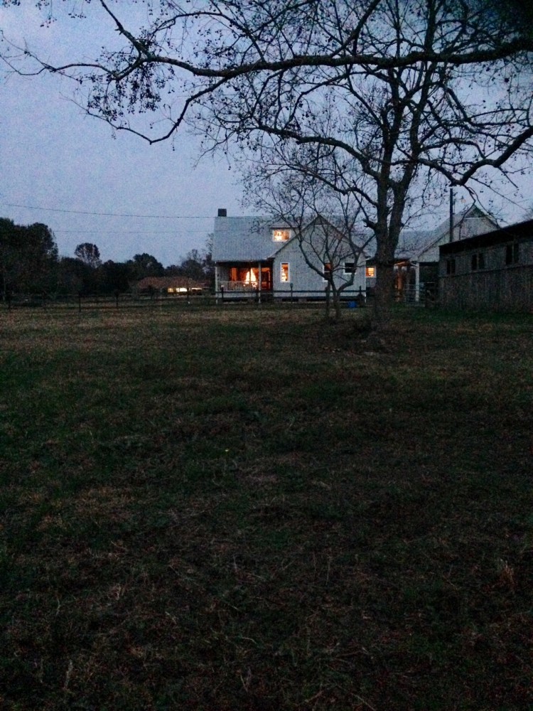 house-from-pasture-2