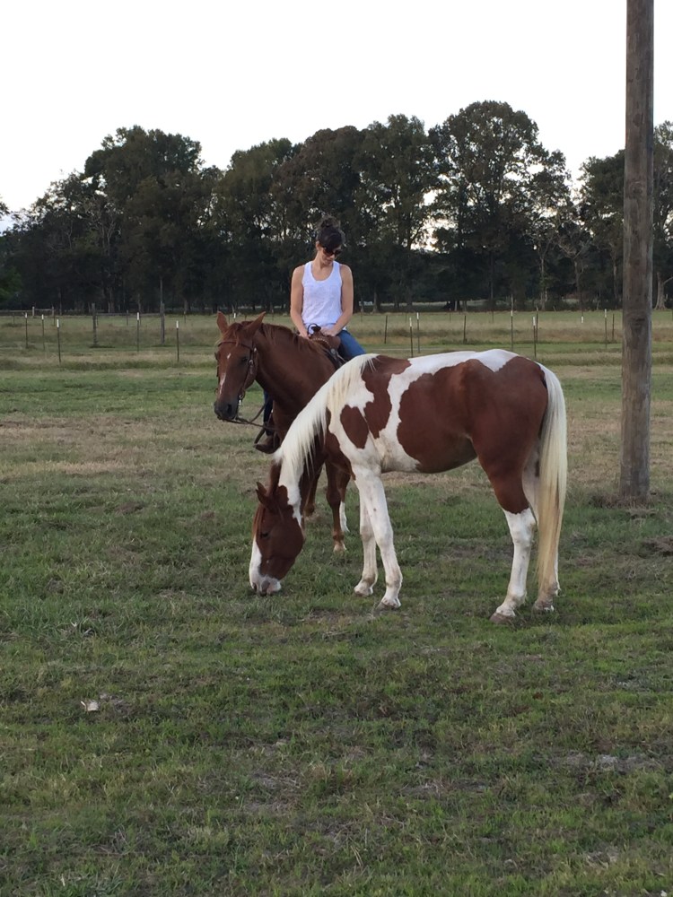 riding-sparkle-2