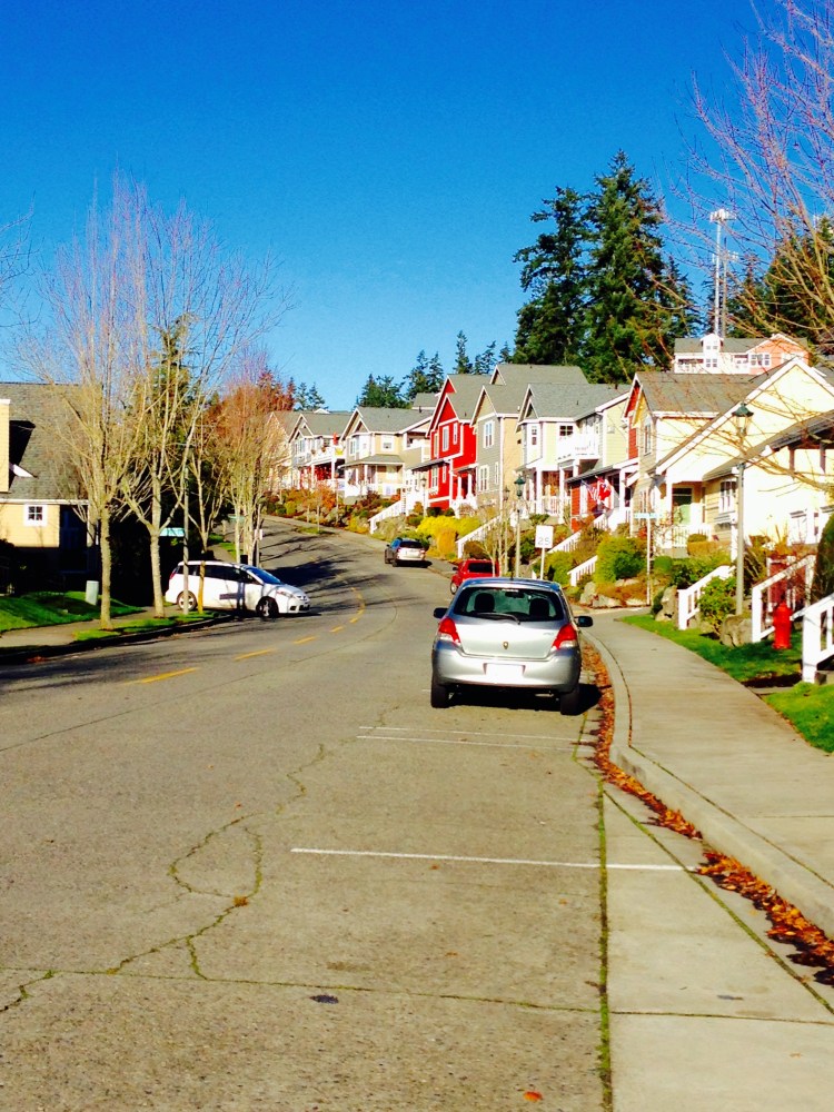 pleasantville-houses