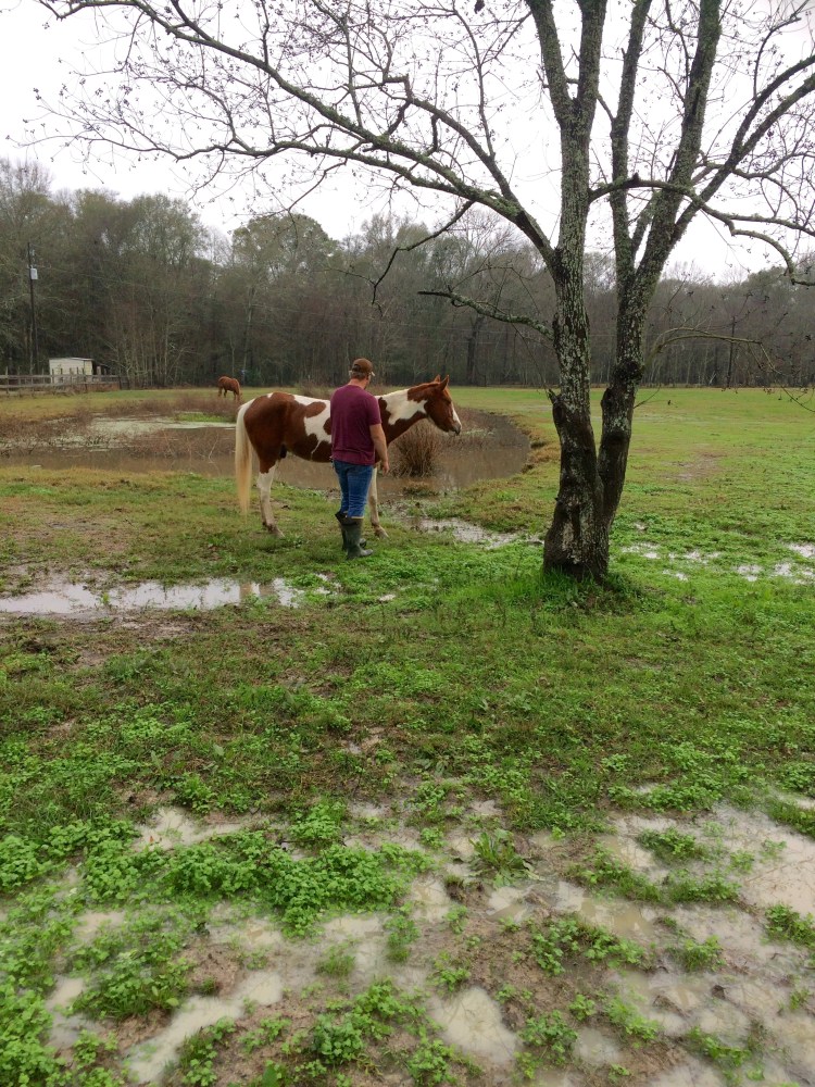 flooding-new-year-2017