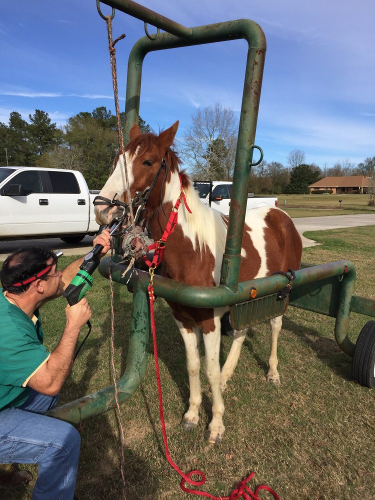 freedoms-floating-procedure-2