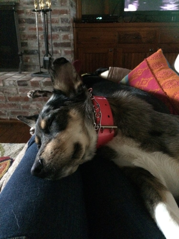 sleeping-the-new-year-away