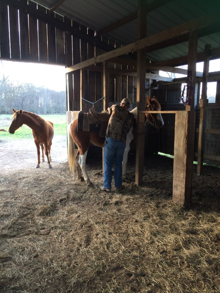 andrew-saddling-freedom-1