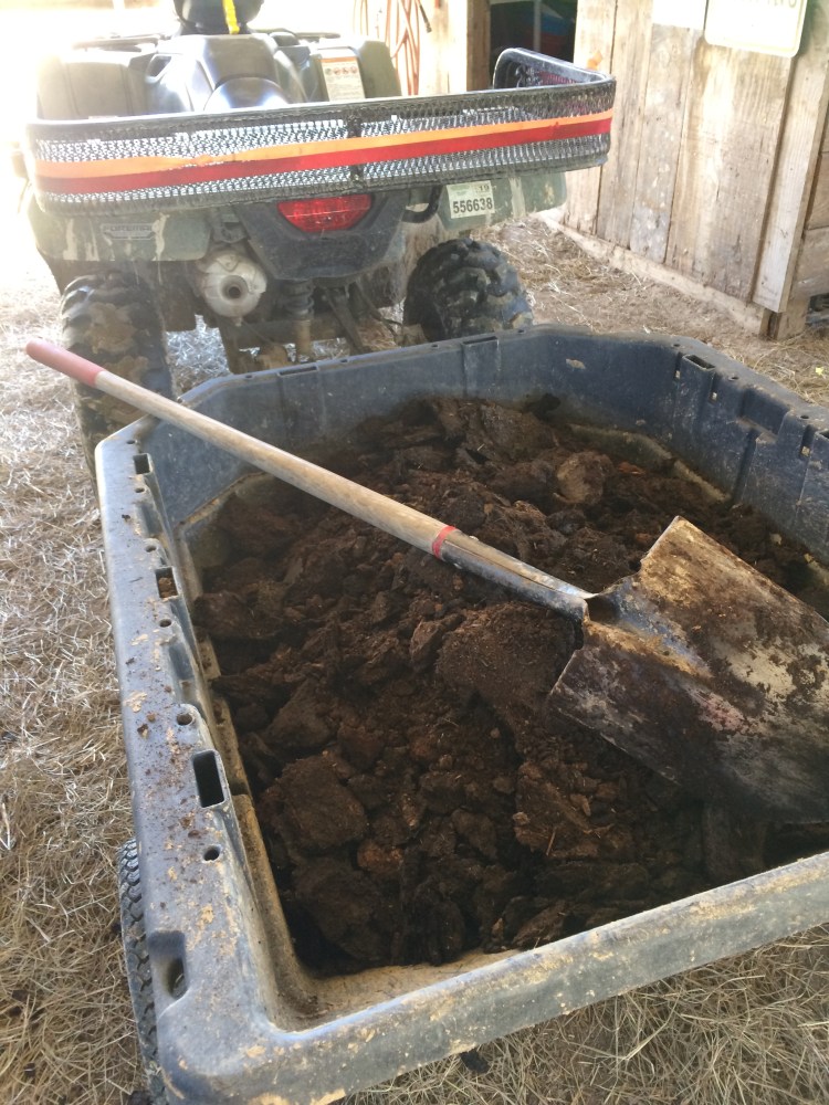 manure-compost