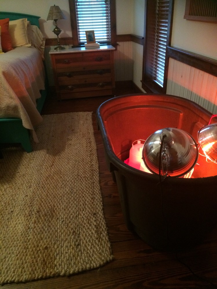 Bedroom Brooder