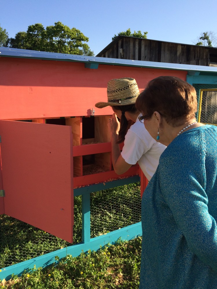 Visitors at the farm