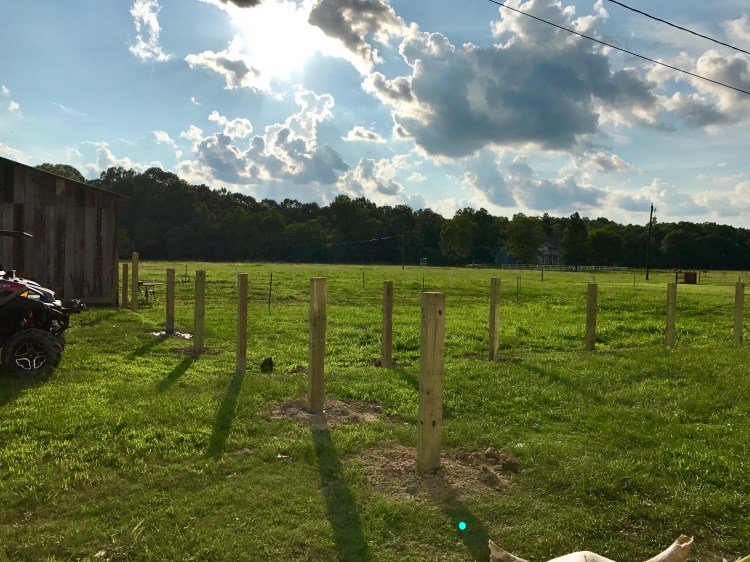 Day 2 Fence Progress 2