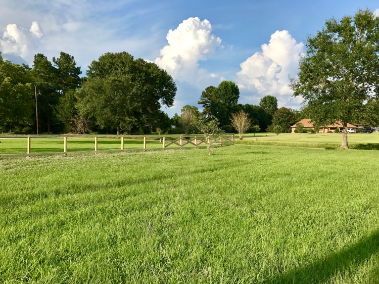 Day 2 Fence Progress