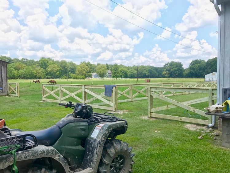 Day 4 Fence Progress