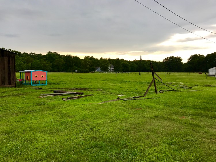 Fence and Tree Stump Demo 2