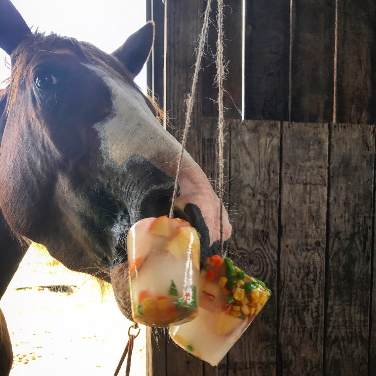 Freedom with freeze pop