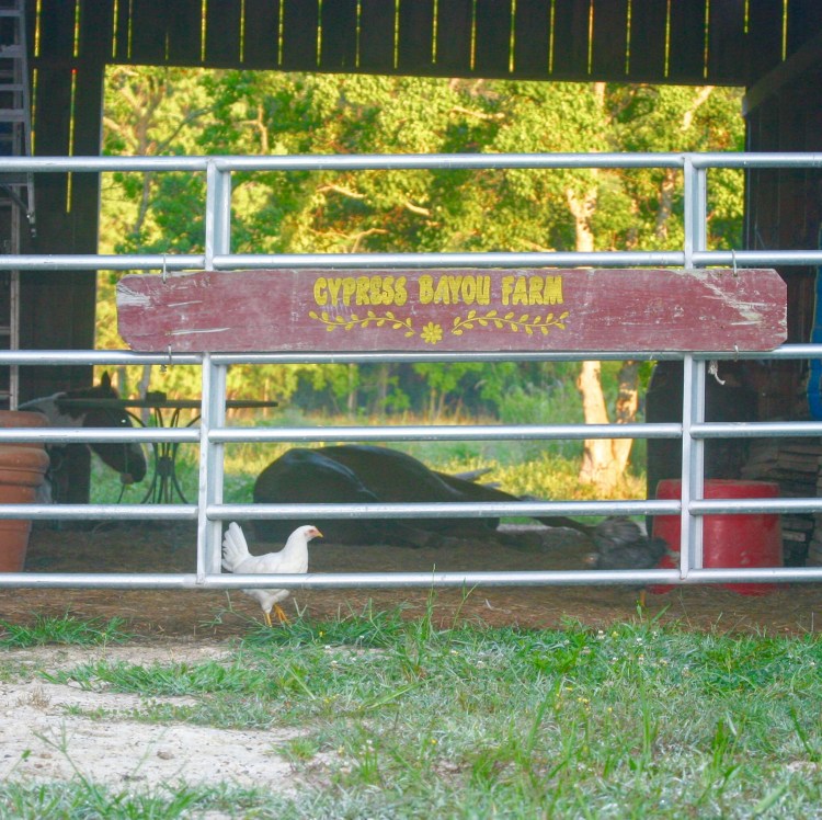 Keep the horses at ease