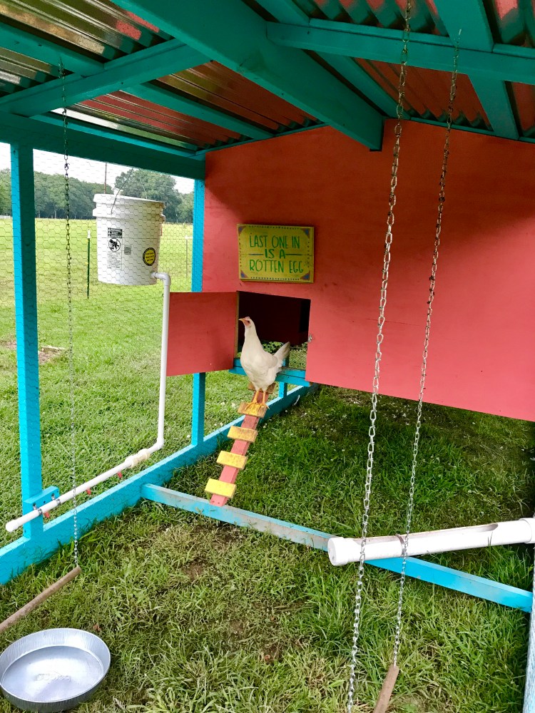 Last One In is a Rotten Egg