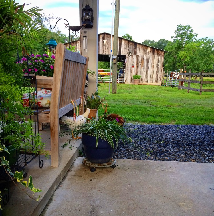 Spice Girl under Carport