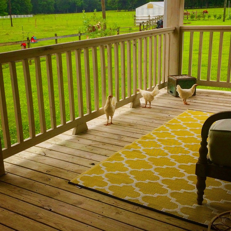 Spice Girls on Back Porch