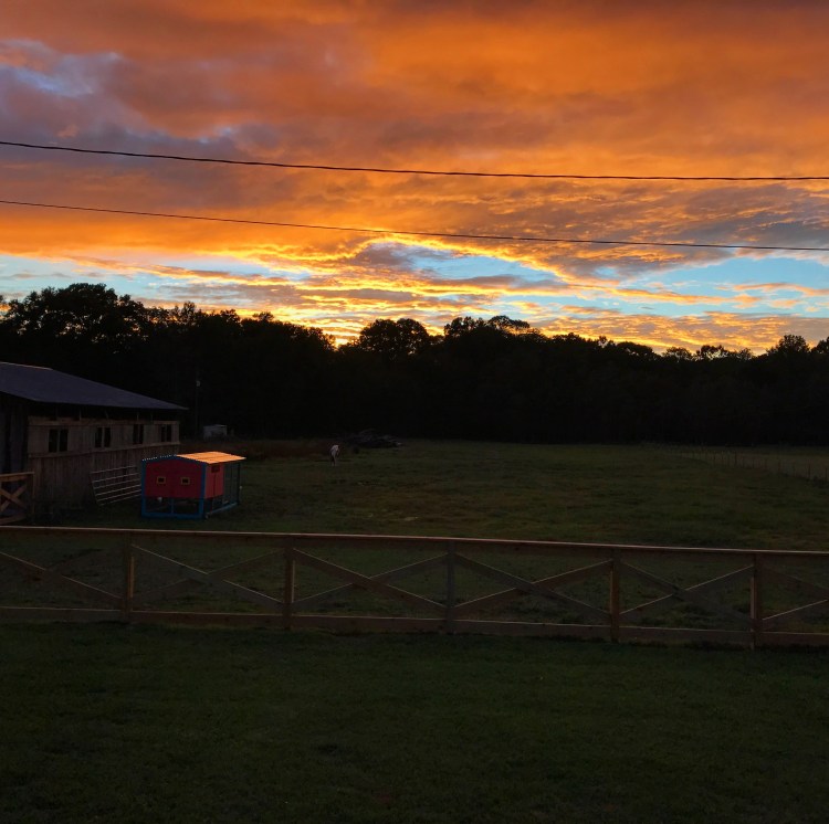 Farm Sunset