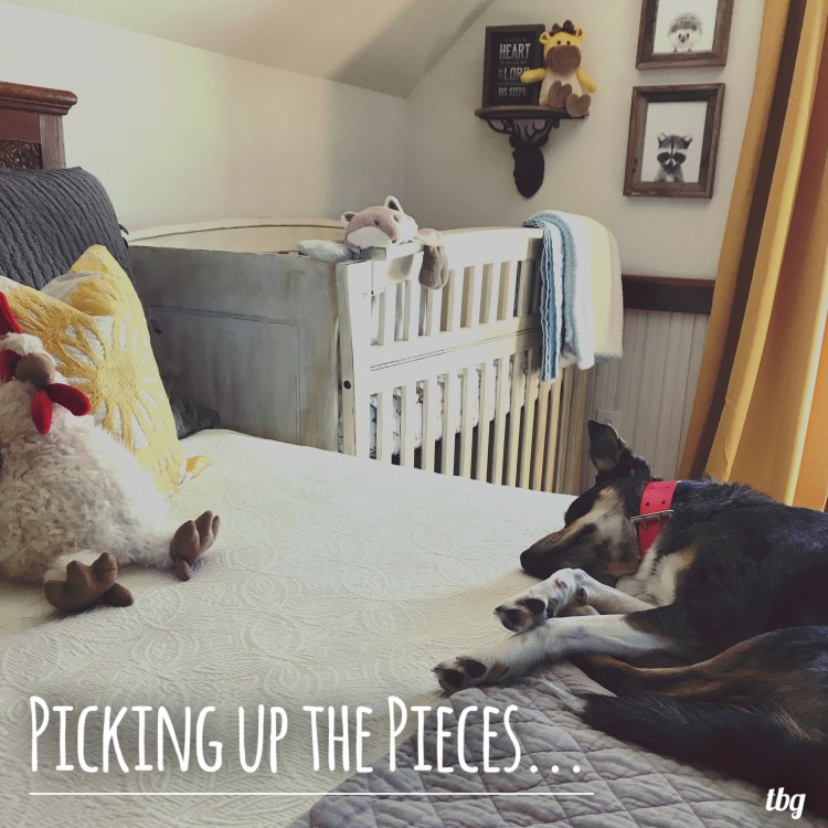 Picking up the Pieces Graphic