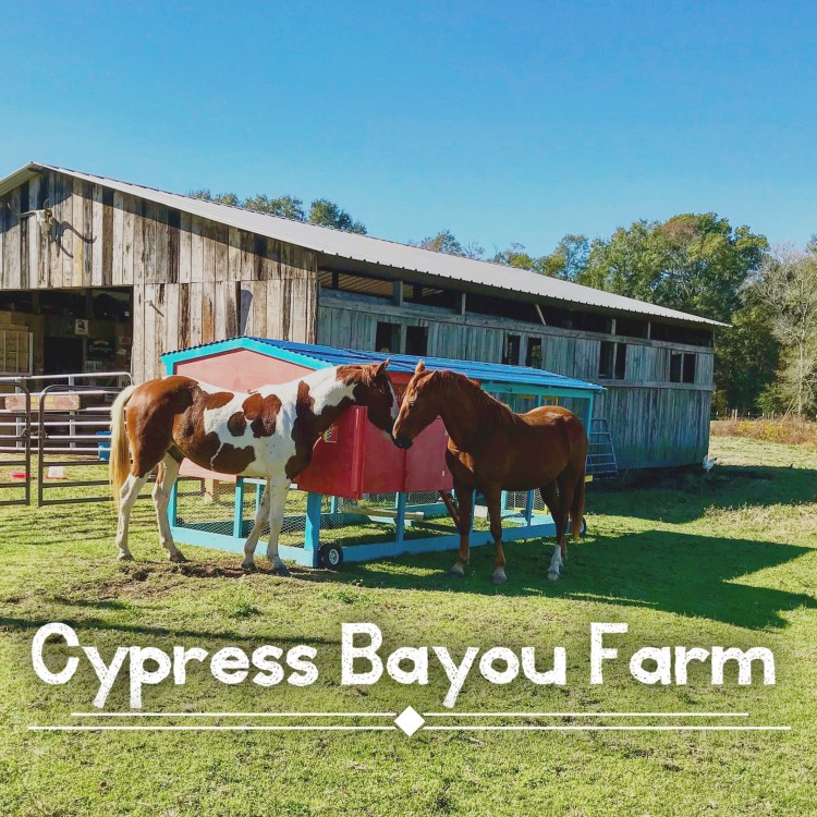 Cypress Bayou Farm