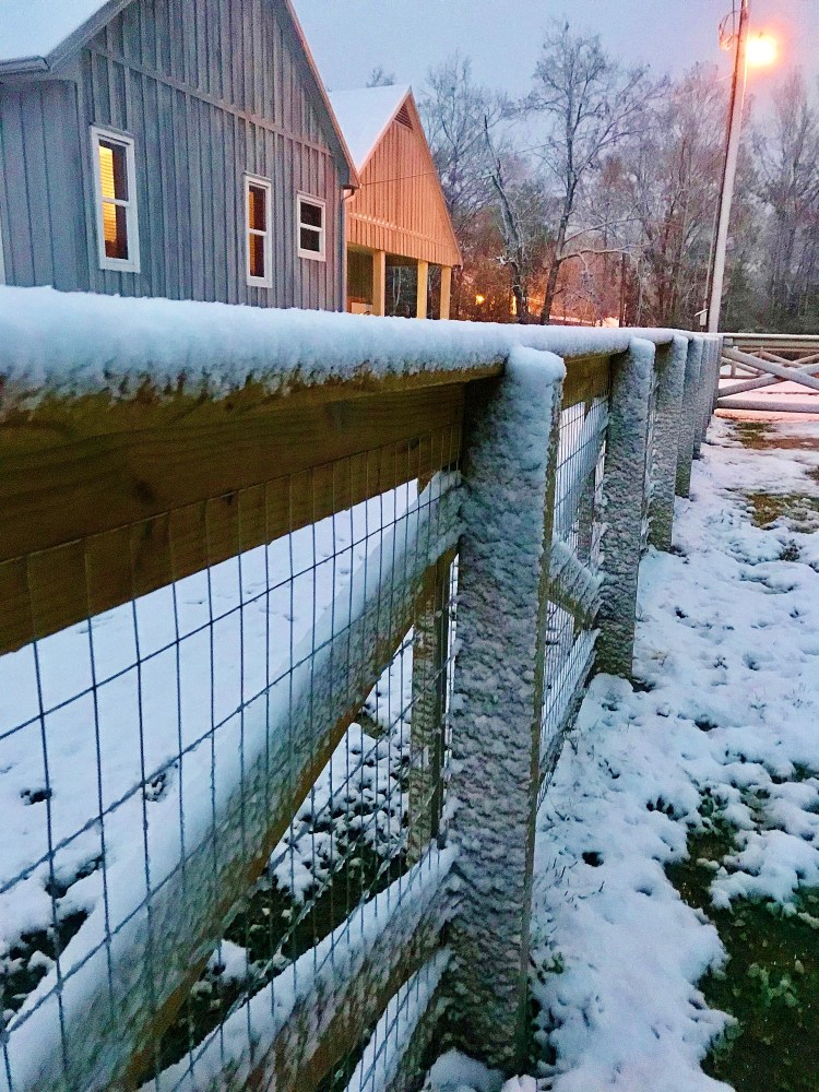 Fence line with snow